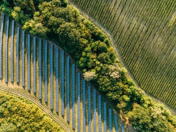 Aerial view of solar panels beside a forest