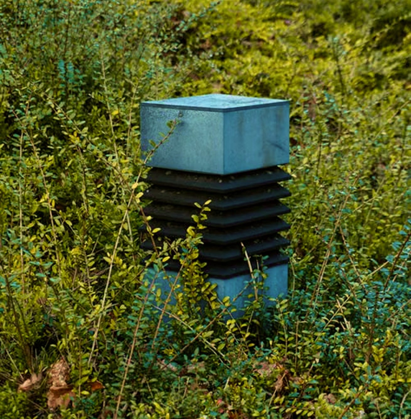 Weathered blue post among green plants