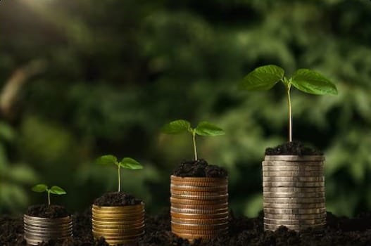 Seedlings growing from stacks of coins